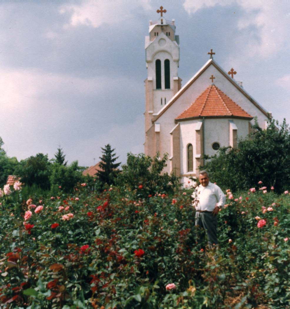 Amikor rózsák voltak a templomkertben...